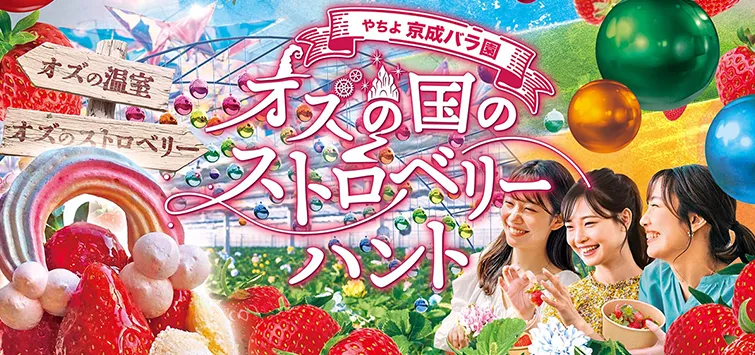 京成バラ園｜オズの国のストロベリーハント