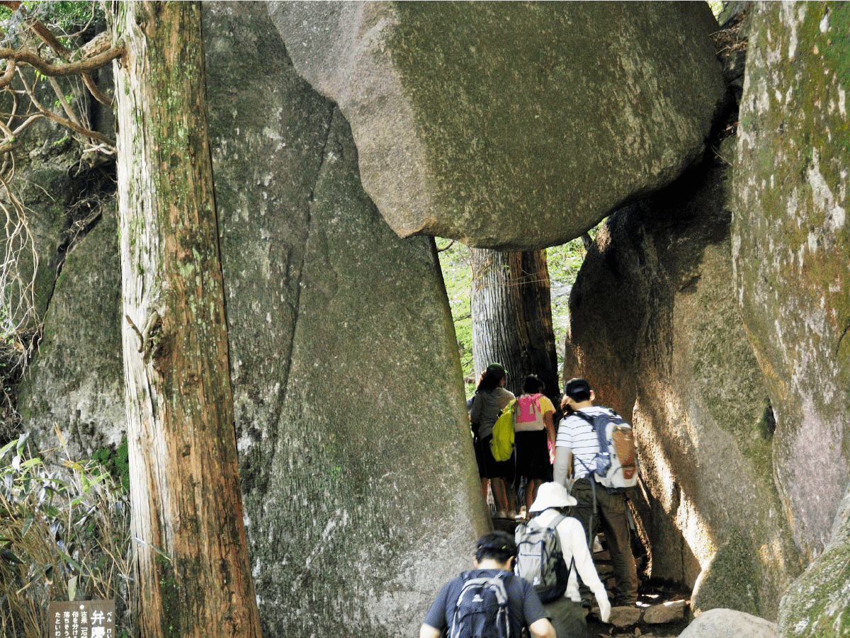 弁慶七戻り写真