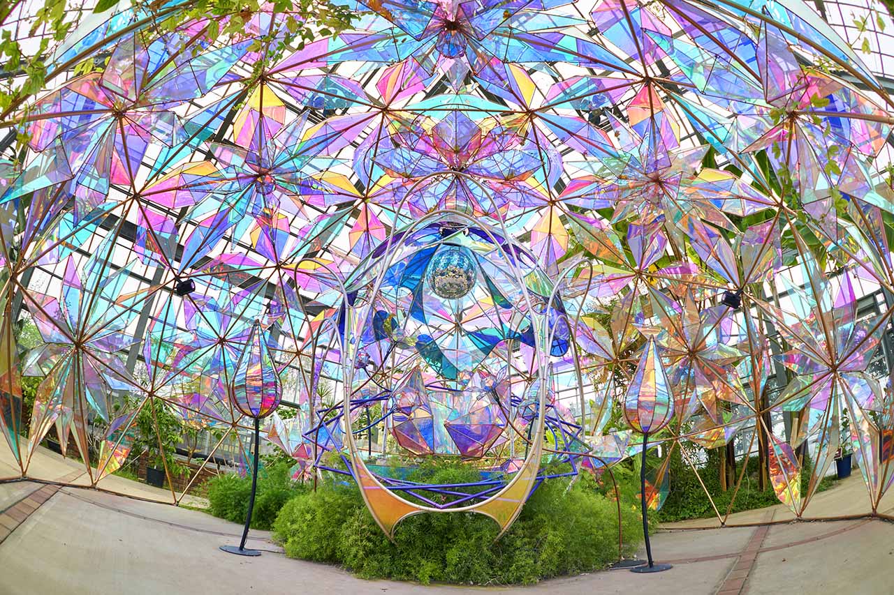 光とバラのインスタレーション