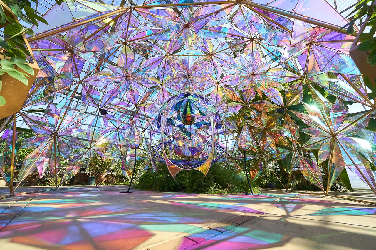 光とバラのインスタレーション