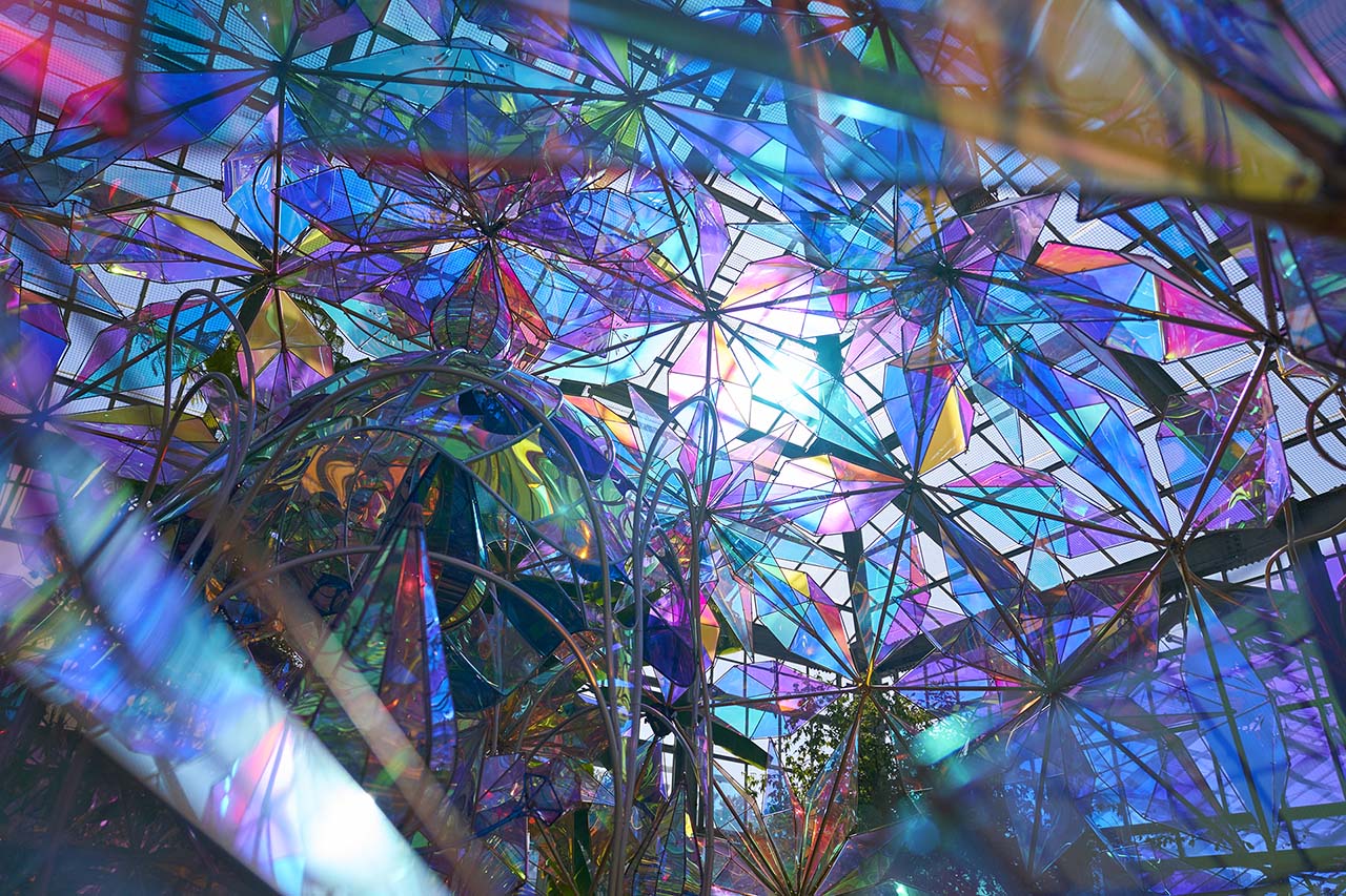 光とバラのインスタレーション