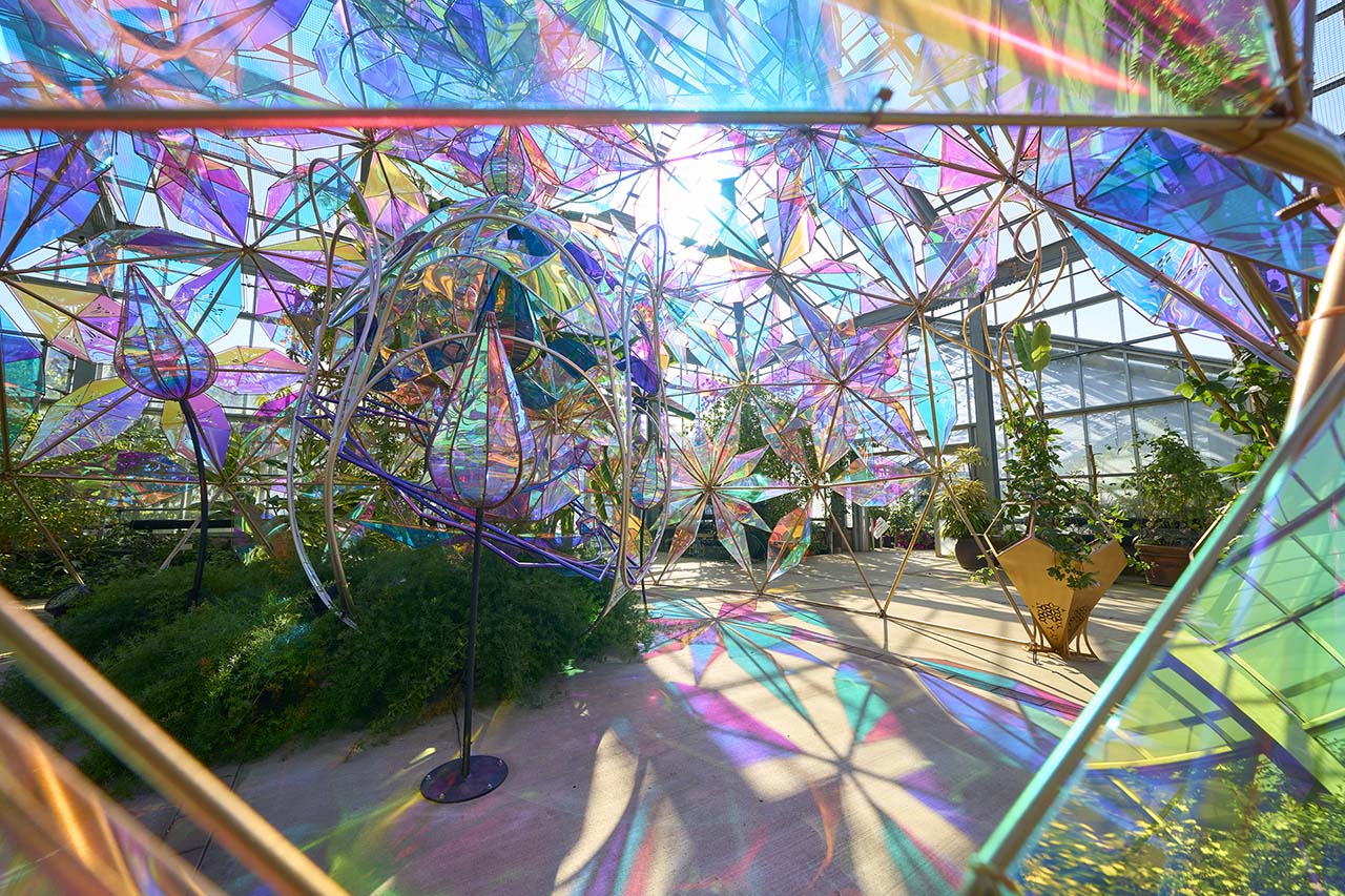 光とバラのインスタレーション