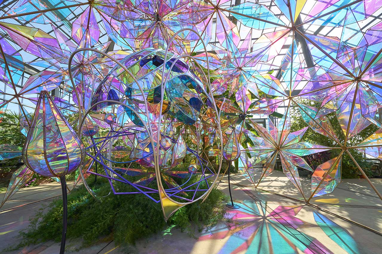 光とバラのインスタレーション