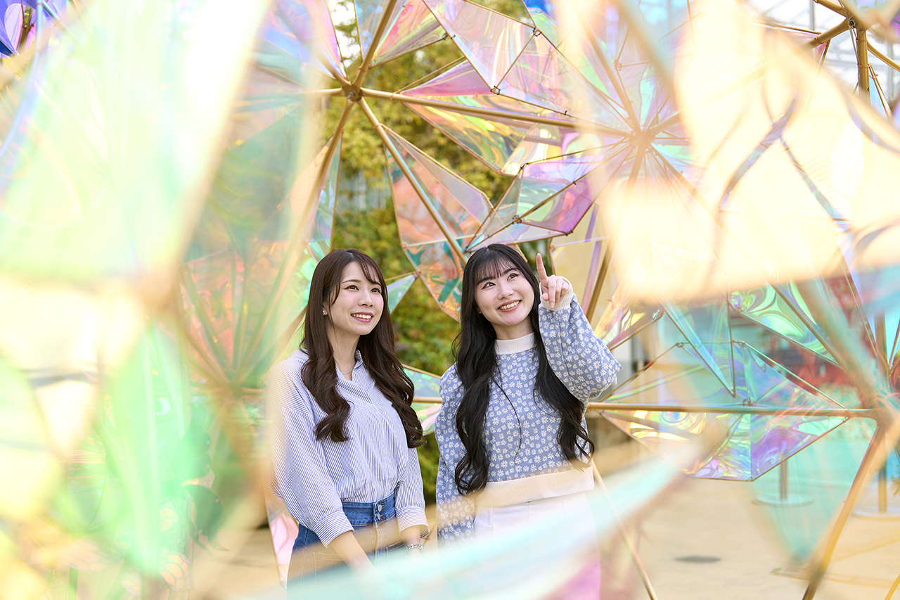 光とバラのインスタレーション