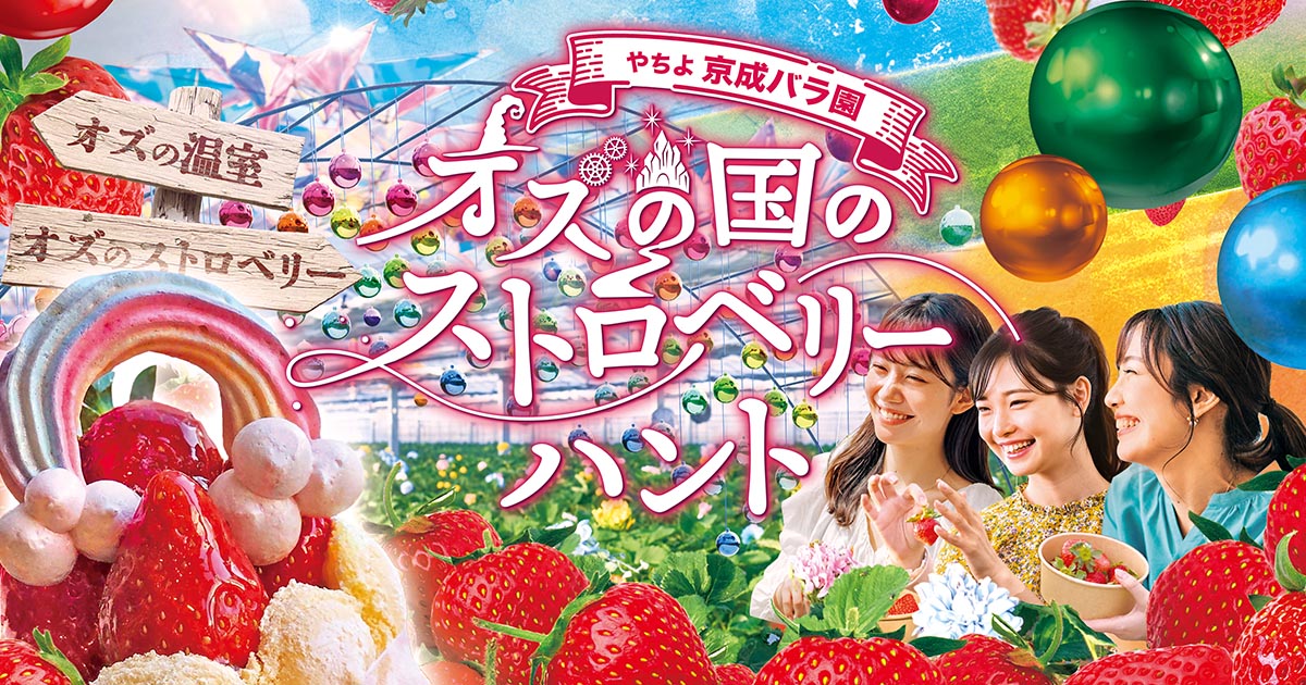 バラ売り可能　にじフェス　コレカ　1200枚以上まとめ売り オズの国のストロベリーハント2026 - 京成バラ園 - Keisei Rose Garden