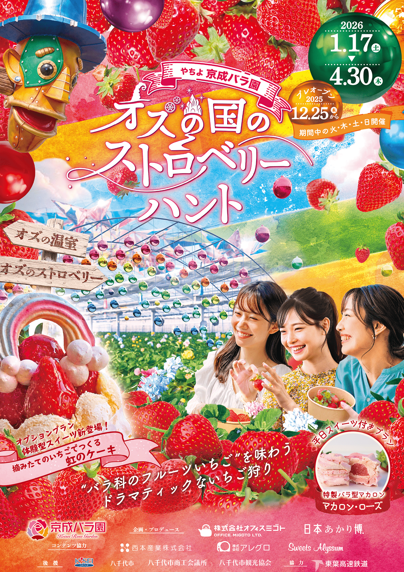 ワンダショ まとめ売り バラ売り可能 乃木坂46 生写真 コンプ まとめ売り バラ売り Amazon.co.jp: 乃木坂46