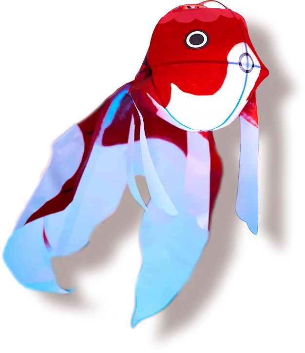 柳井金魚ちょうちん