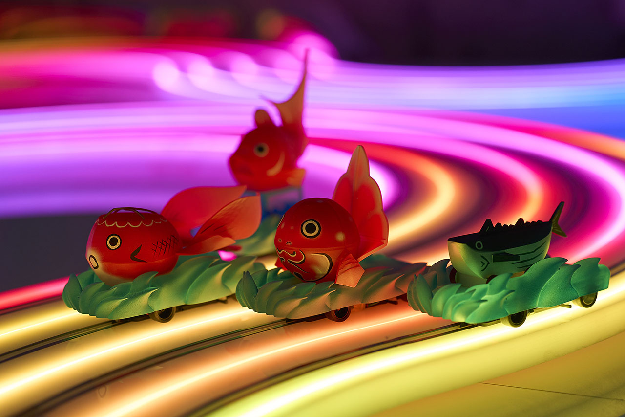 フィッシュサーキット