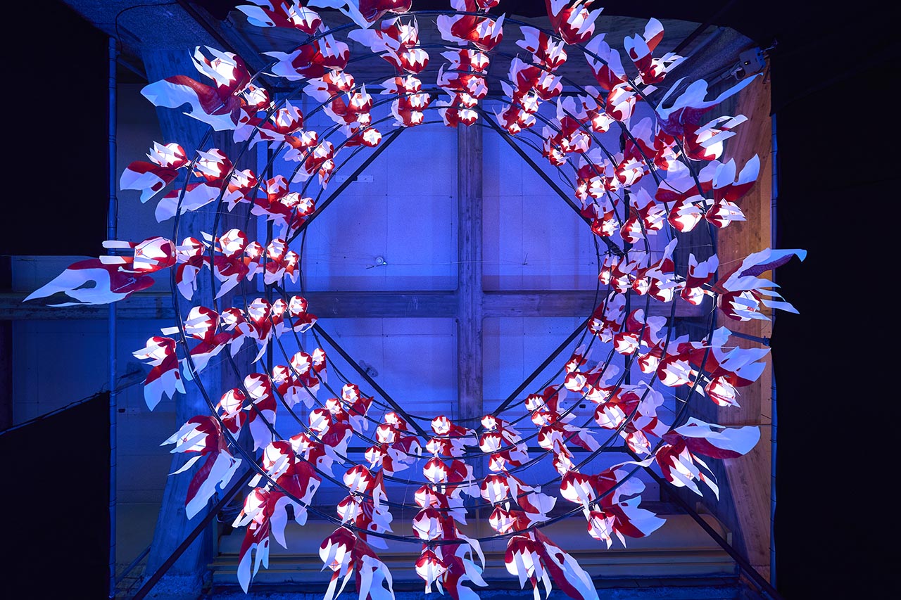 柳井金魚ちょうちん祭り