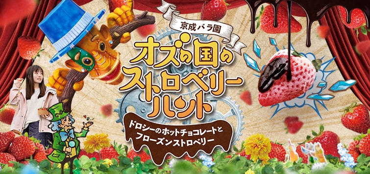 京成バラ園｜オズの国のストロベリーハント